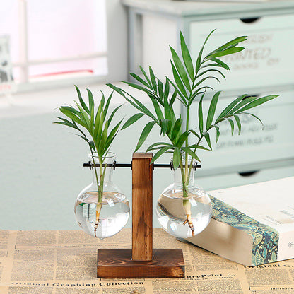 Vaso de vidro sofisticado para planta 6
