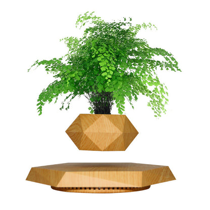 Vaso para planta com levitação magnética e rotação de 360º