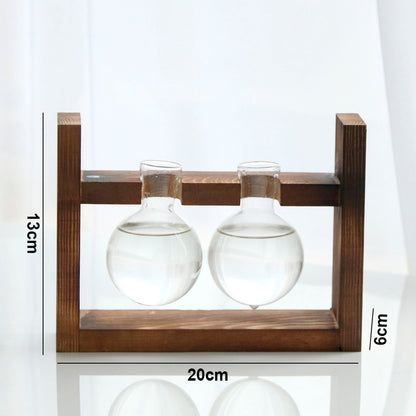 Vaso de vidro sofisticado para planta 3