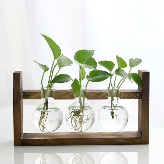 Anspruchsvolle Pflanzenvase aus Glas 3
