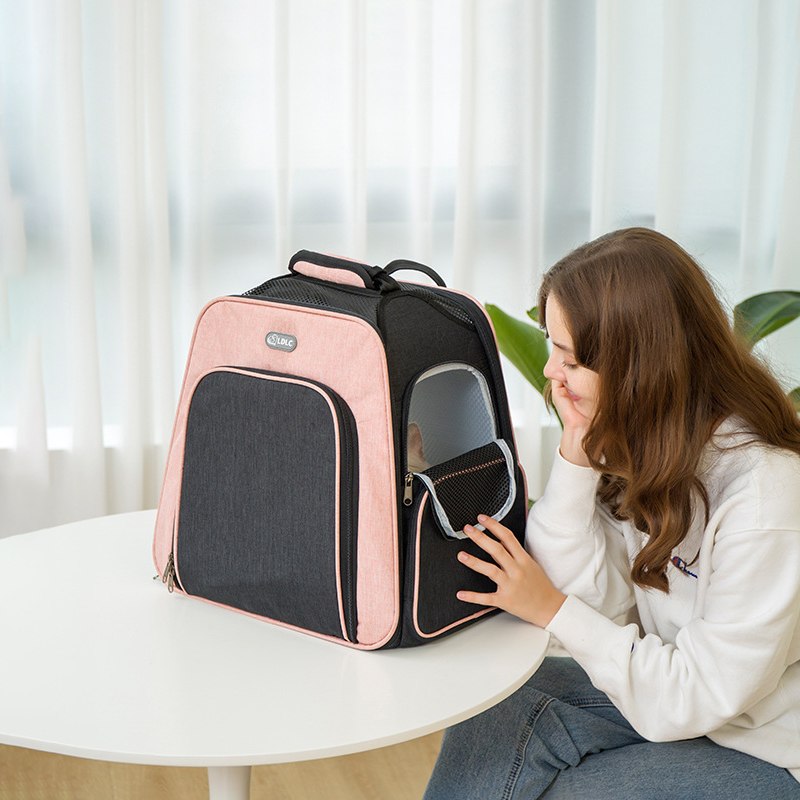 Pet backpack (model 1)