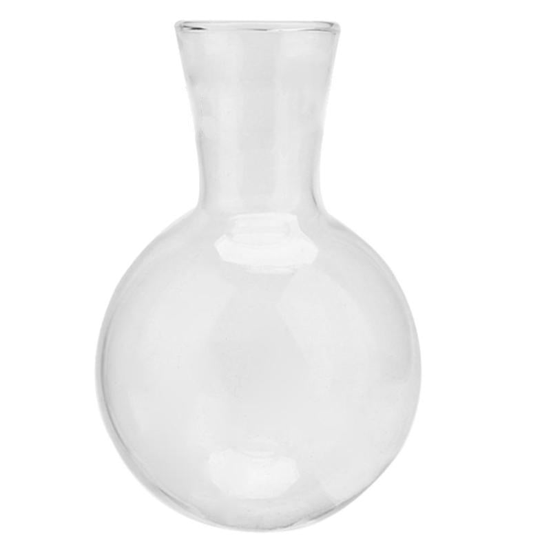 Sophisticated glass plant vase 2