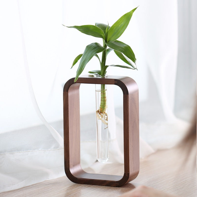 Sophisticated Glass Plant Vase 1