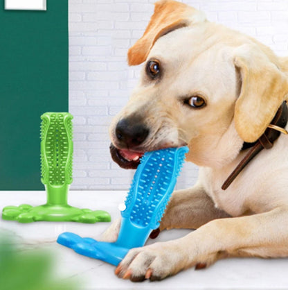 Zahnbürstenspielzeug für Haustiere