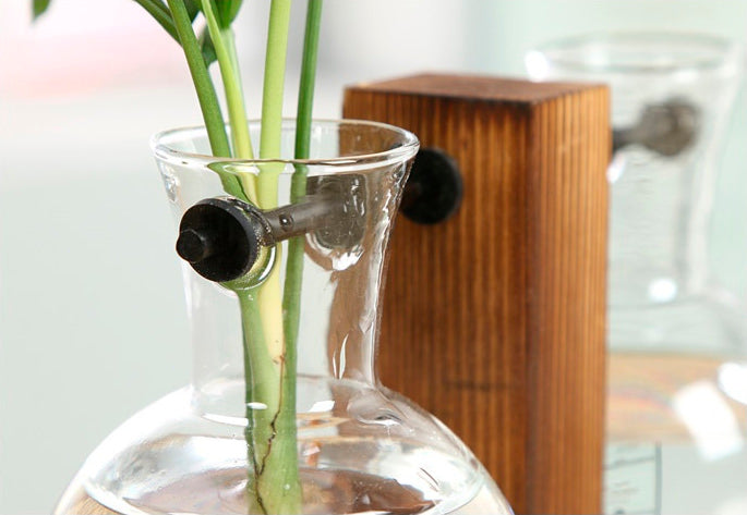Anspruchsvolle Pflanzenvase aus Glas 6