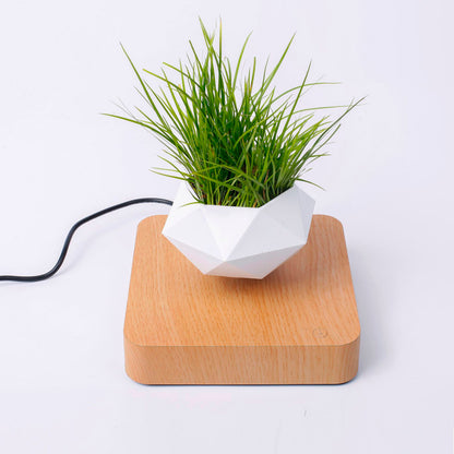 Plant pot with magnetic levitation and 360º rotation 2