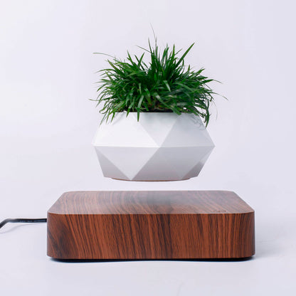 Vaso para planta com levitação magnética e rotação de 360º 2