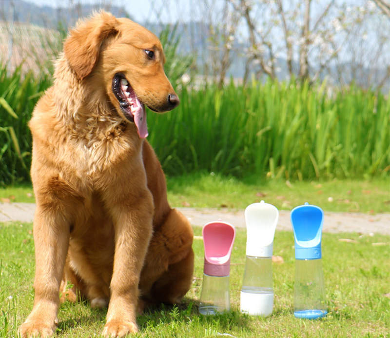 Flasche mit Wasserspender für Haustiere