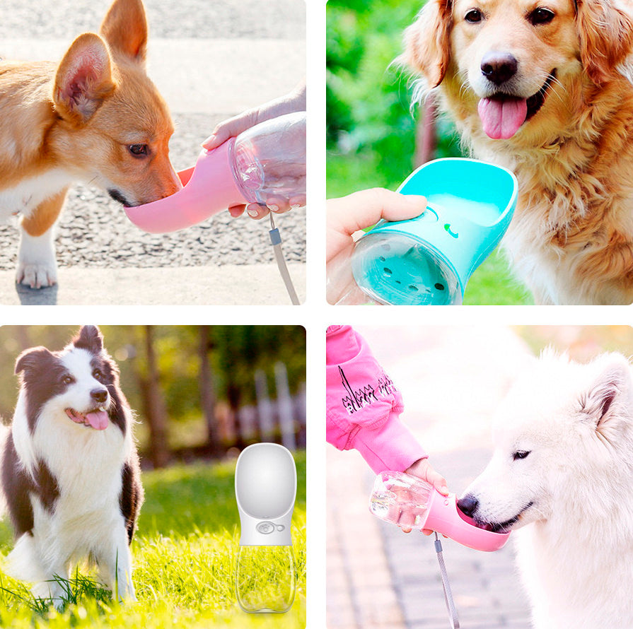 Flasche mit Wasserspender für Haustiere
