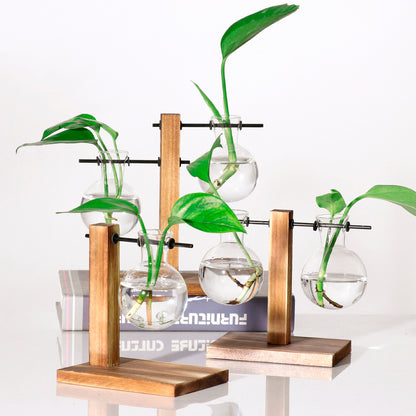 Sophisticated glass plant vase 6
