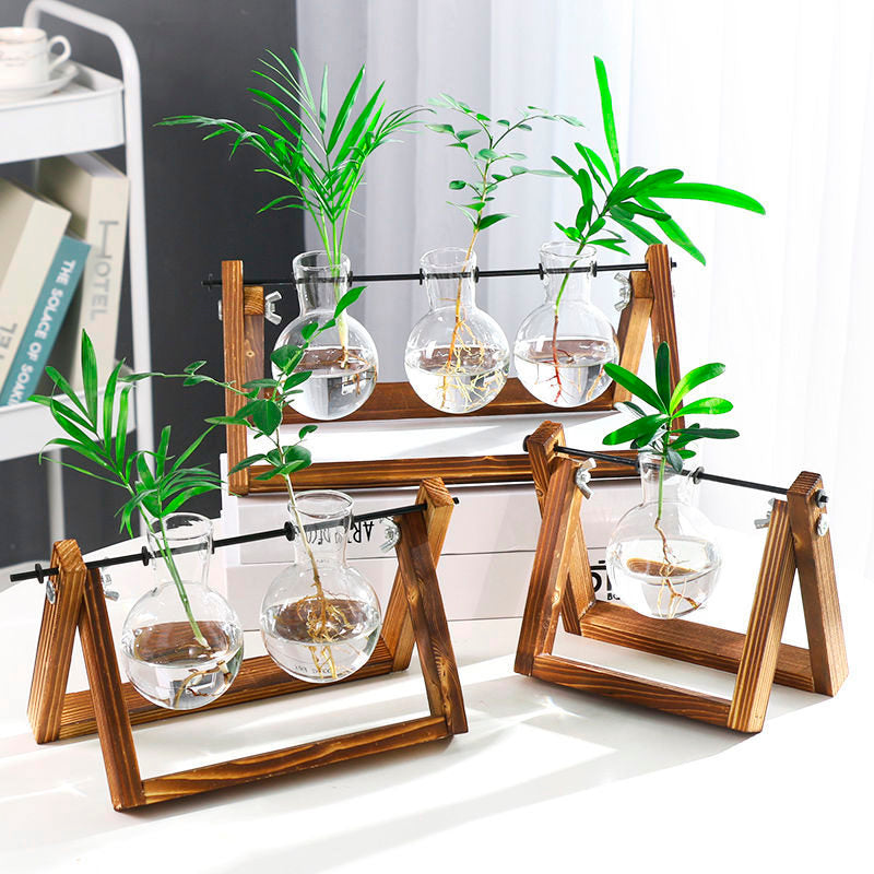 Vaso de vidro sofisticado para planta 5