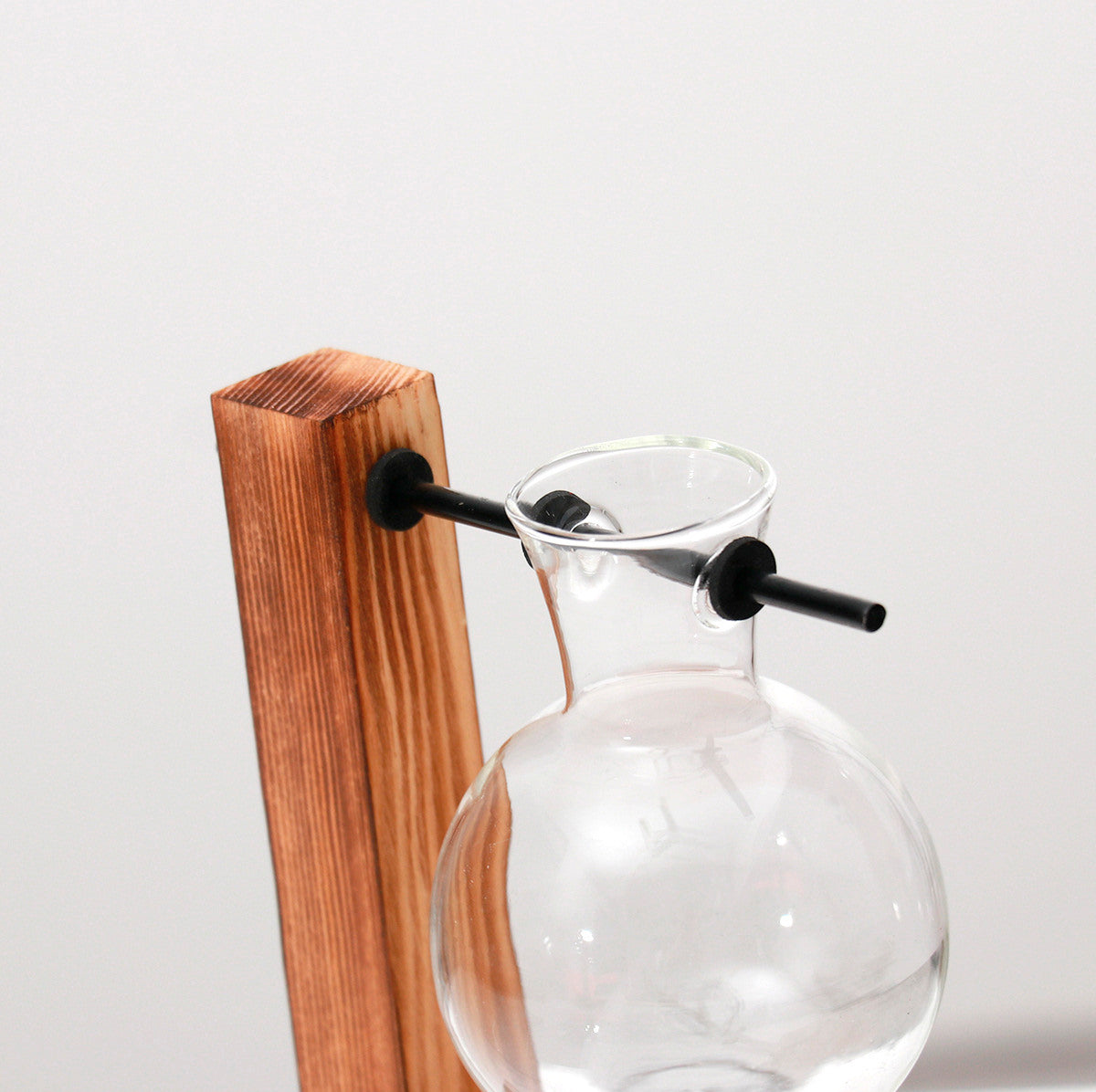 Vaso de vidro sofisticado para planta 6