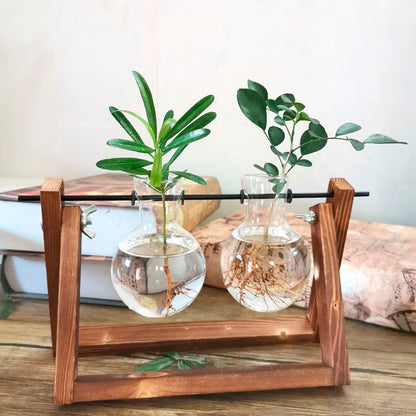 Sophisticated glass plant vase 5