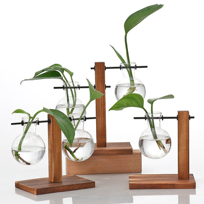 Sophisticated glass plant vase 6