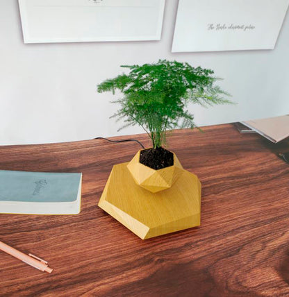 Plant pot with magnetic levitation and 360º rotation