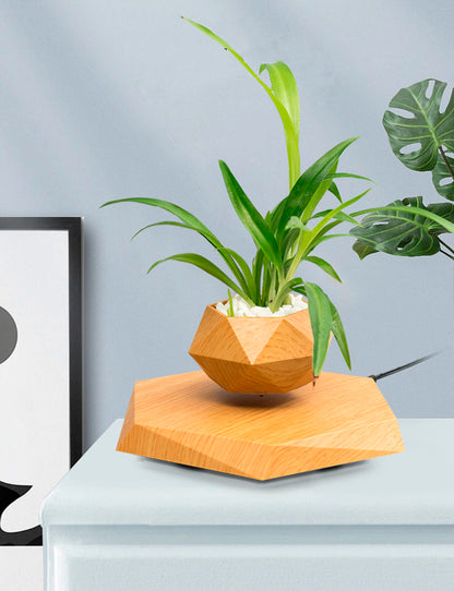 Plant pot with magnetic levitation and 360º rotation