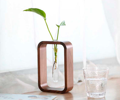 Vaso de vidro sofisticado para planta 1