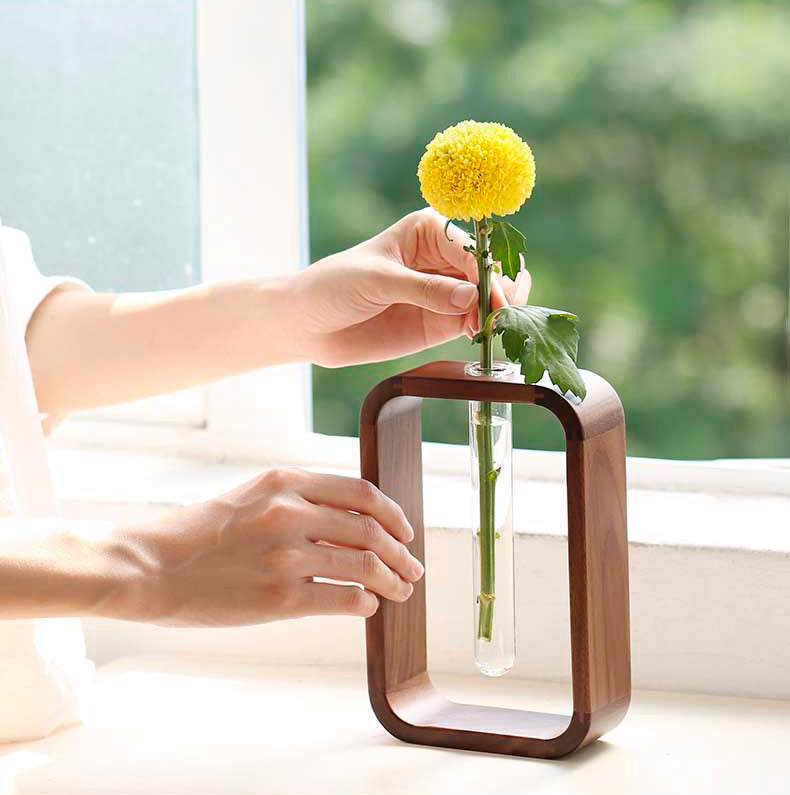 Vaso de vidro sofisticado para planta 1